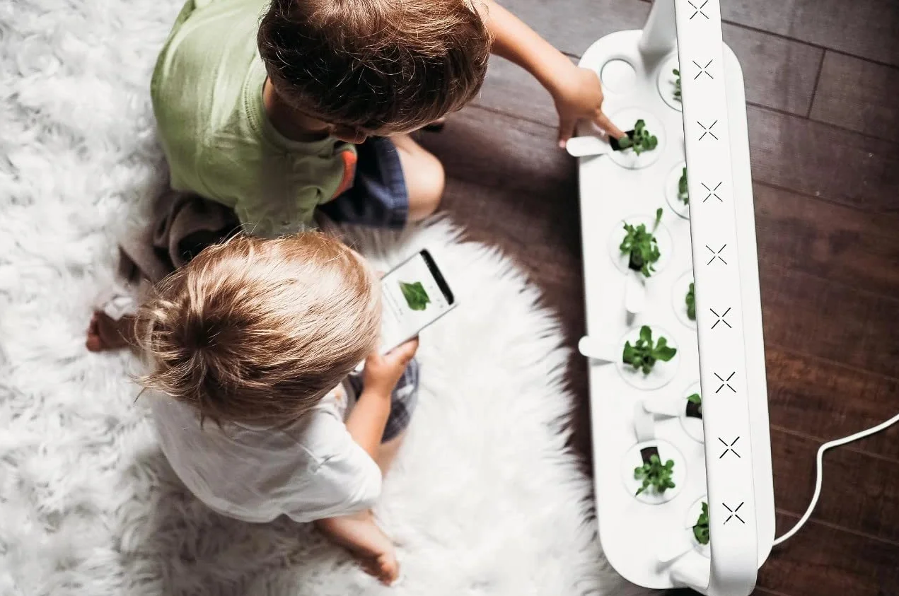 Click and Grow 9 Pro Zestaw ogrodów wewnętrznych z oświetleniem do uprawy roślin | Łatwy niż system uprawy hydroponiki | Inteligentny ogród do domowej kuchni parapet | Zestaw startowy do ogrodu
